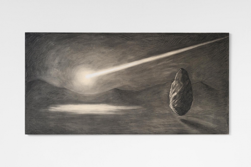 Panspermia (lapis), 2020, carboncino e pastello su tela applicati su tavola, cm 99 x 199. ph Giorgio Benni