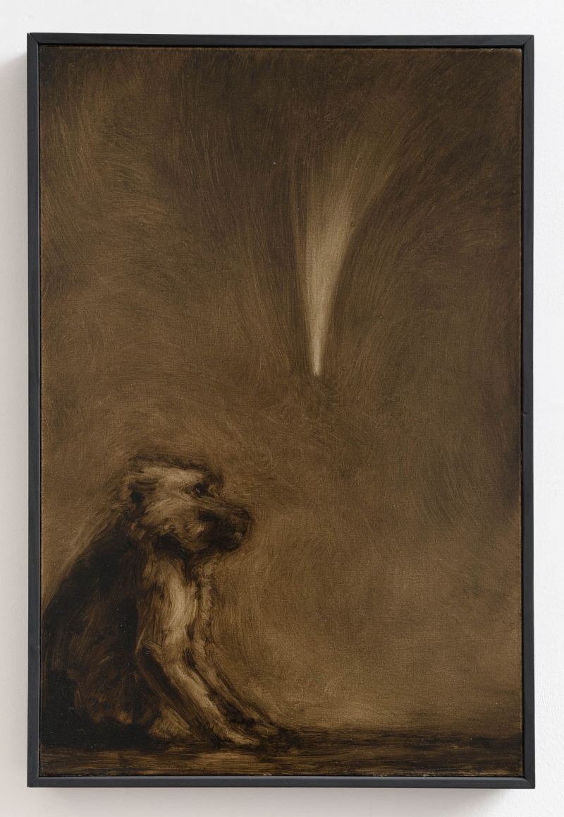 Prevoluzione (cometa), 2025. Olio su tela, cm 62 × 41,5 × 5 