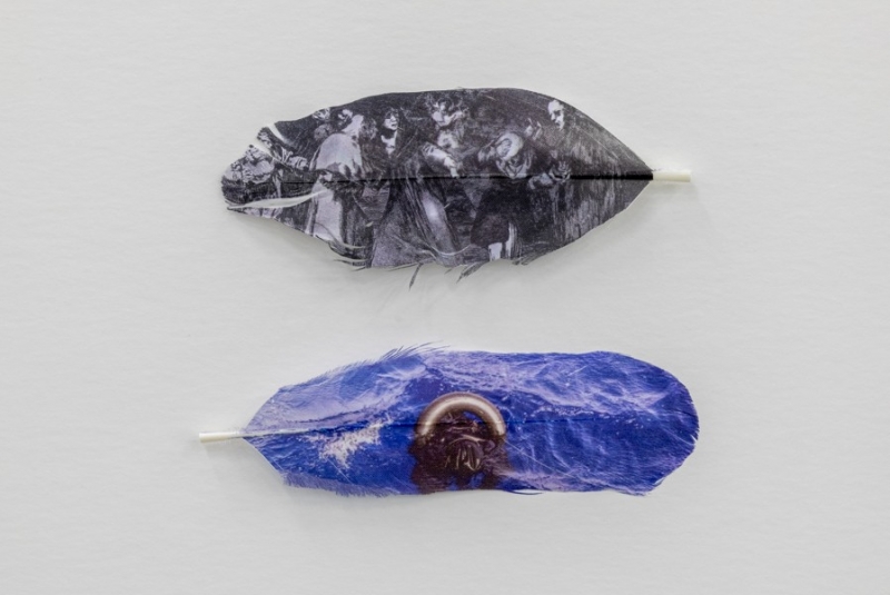 Mirror stage (Goya VS reality), 2021-26. Piume di uccello emulsionate, scatola di legno e vetro museale, cm 35 x35 x 3 caduna